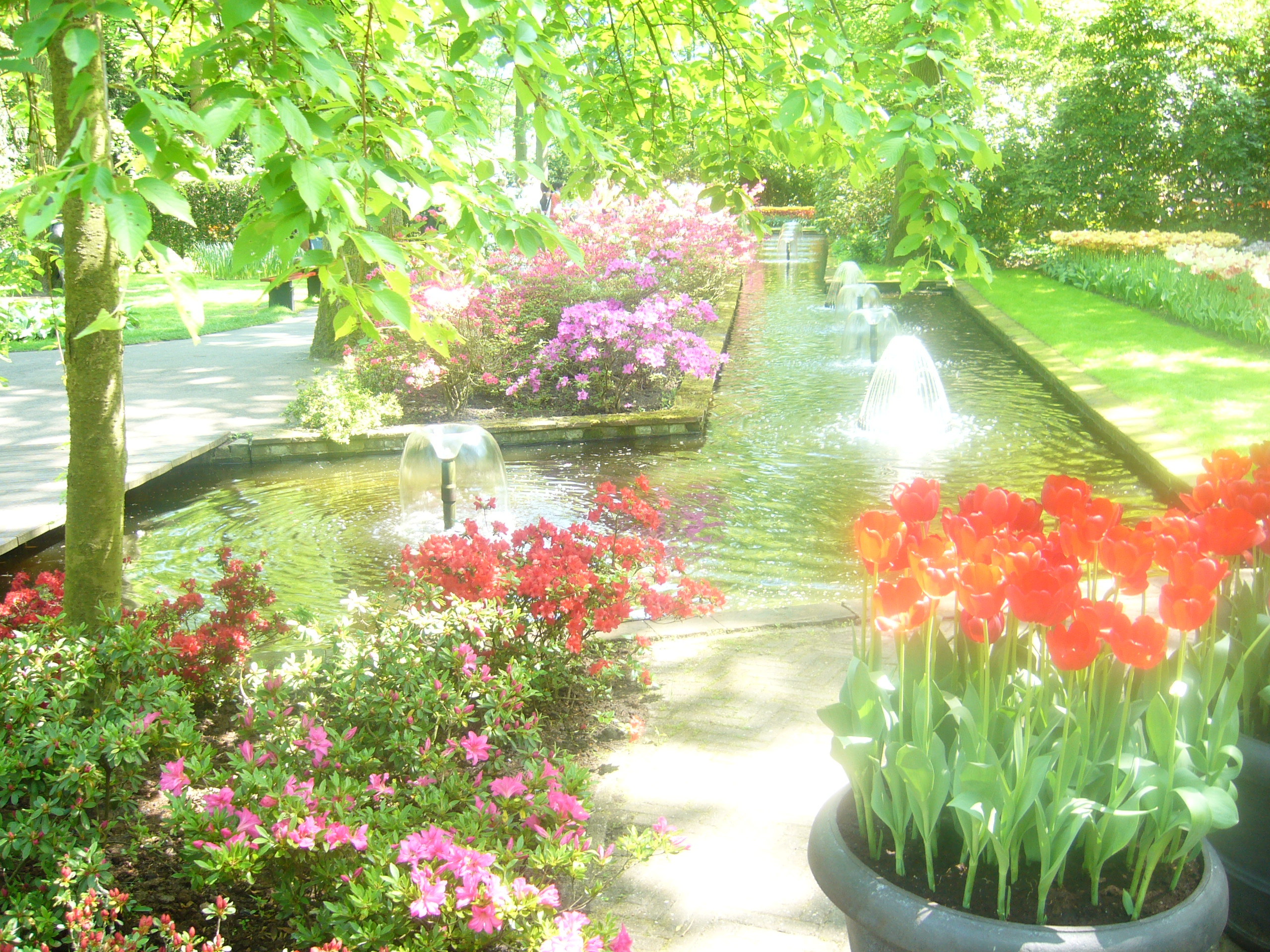 Jardins du Monde : un Voyage Floral